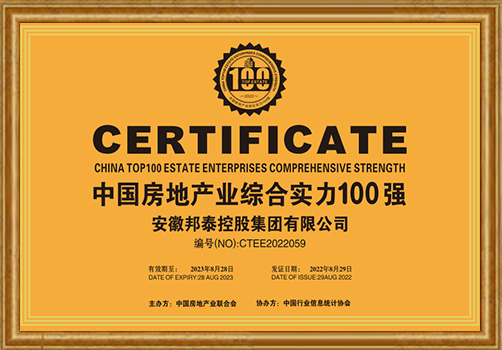 中国房地产业综合实力100强